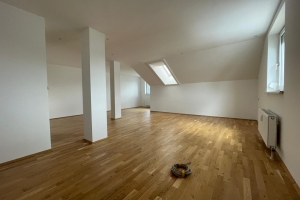 CHARMANTE Dachgeschoßwohnung in perfekter Trauner Lage
